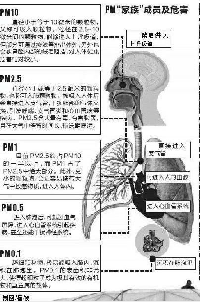 社科院等聯(lián)合發(fā)布綠皮書(shū):霧霾影響生殖能力